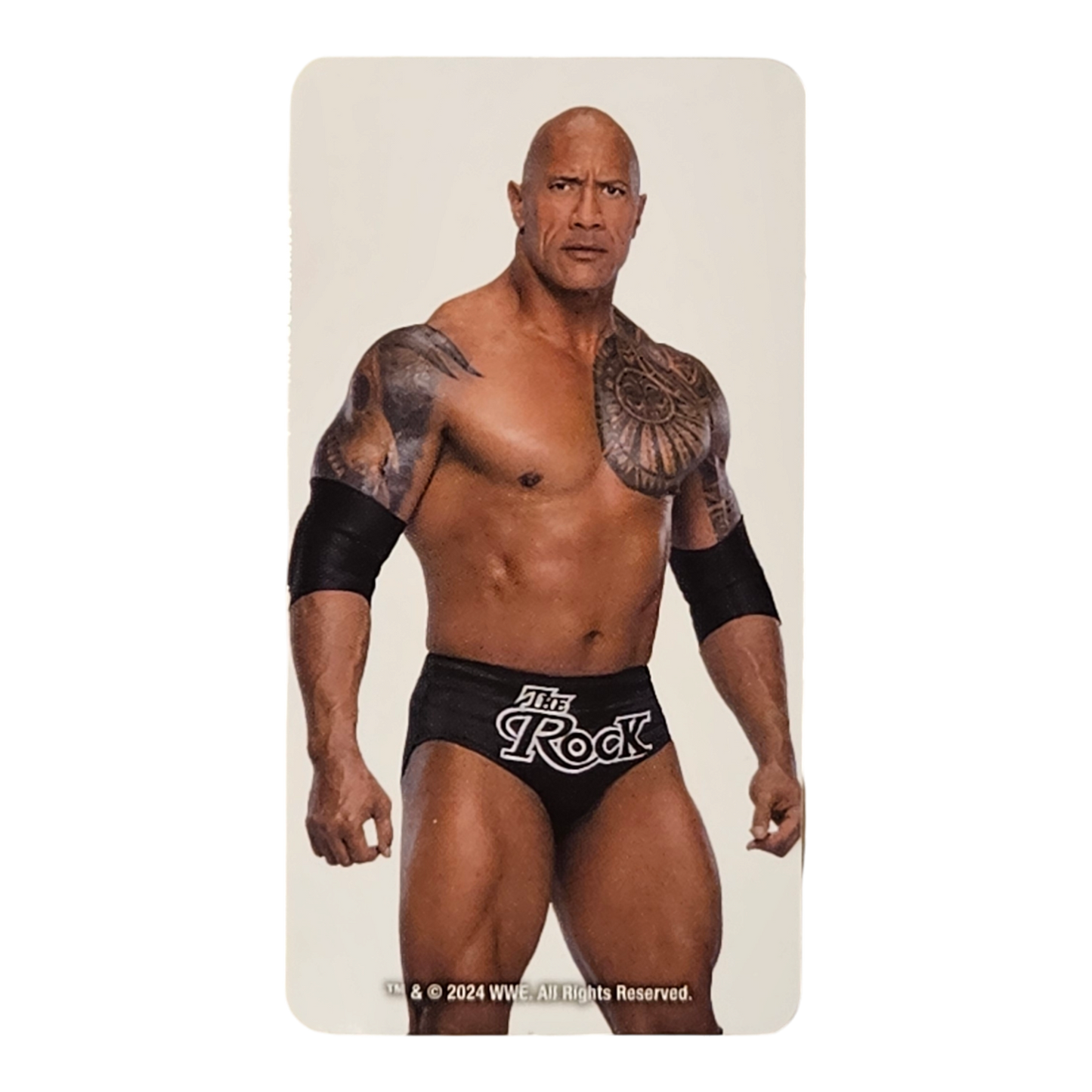 BE@RBRICK Series 48 Artist "The Rock" [WWE] (100%)