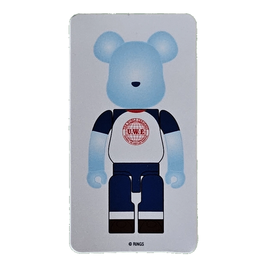 Bearbrick Series 44 'U.W.F.' 100% SECRET Begleitkarte