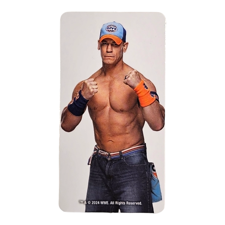 Bearbrick Series 48 Artist 'John Cena' [WWE] 100% SECRET Begleitkarte