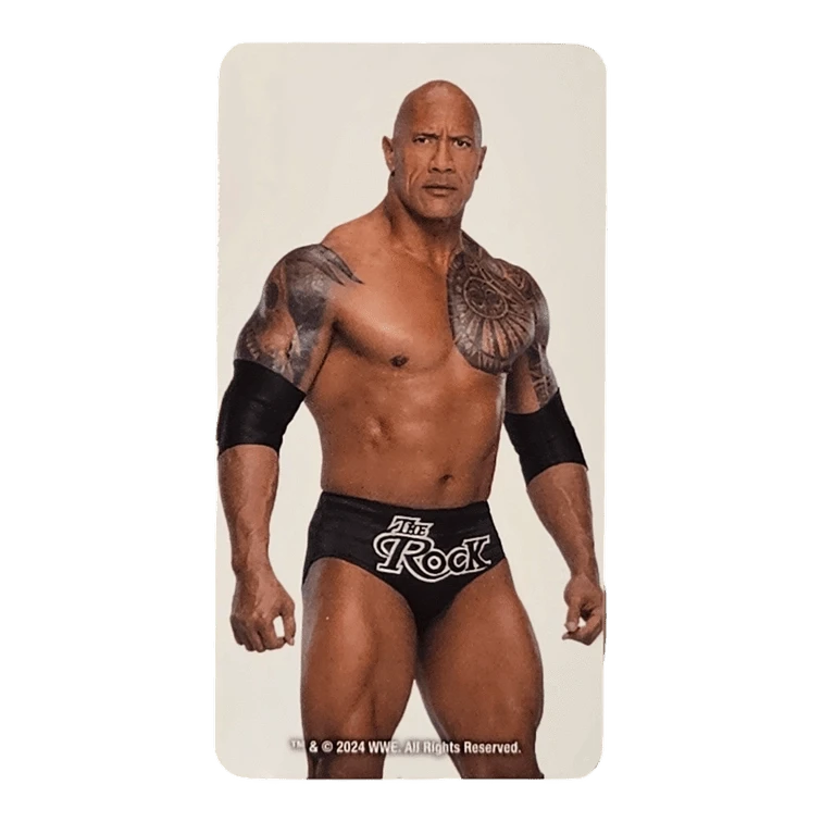 Bearbrick Series 48 Artist 'The Rock' [WWE] 100% Begleitkarte